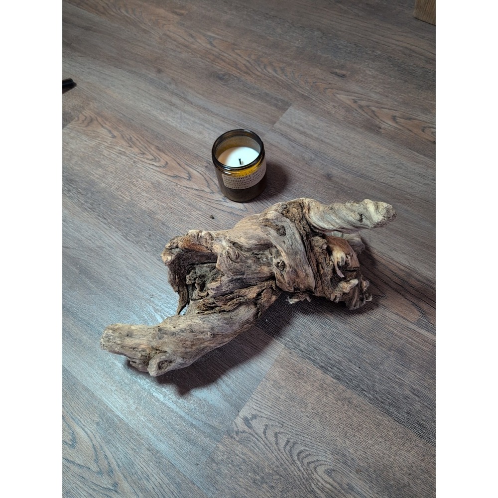 Driftwood So Cal CA Beach Ocean Wood Sculpture Art Crafts Garden Decor
